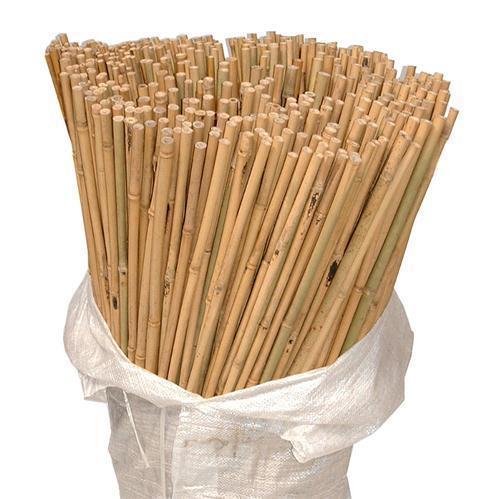 bam3ft.jpg Bamboo Canes 3ft - Image 1