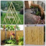 Bamboo Canes 4ft