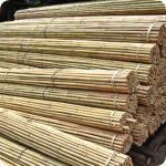 5ft Bamboo Canes