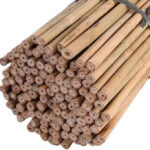 6ft (pack of 20) Bamboo Canes Plant Supports for Outdoor Plants