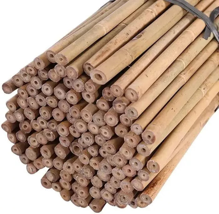 s-l1600_14_c49f041b-a368-4771-af34-18831090608d.jpg 6ft Bamboo Canes Pack of 50 Plant Supports for Outdoor Plants - Image 1